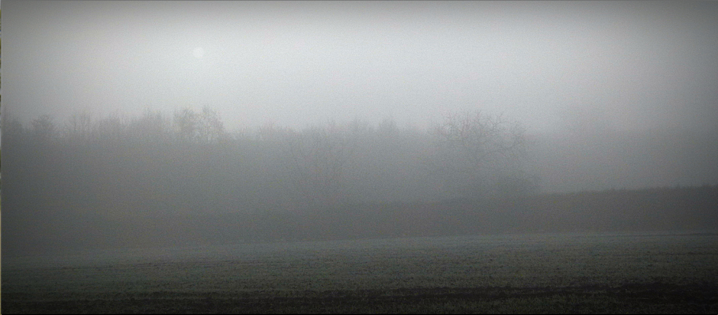 Villers-Campeau wood in the mist